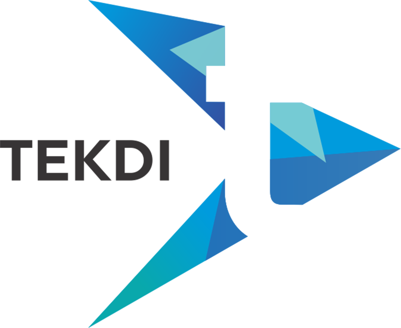 The Tekdi Logo